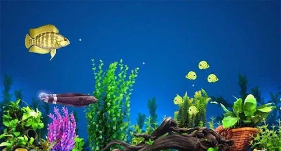 3d�����С�㰲׿���ֻ���v1.0.41 �ֻ����ͼ3