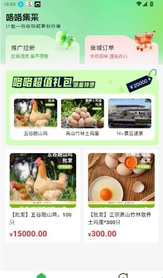 ��������2026���°汾