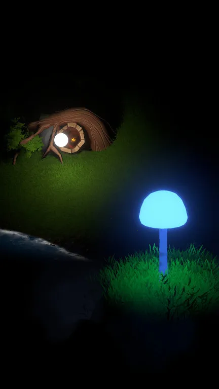 �����Ĺ���2026�ٷ�����