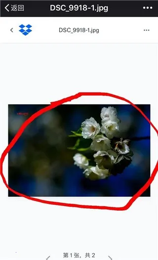 dropbox(�ƴ洢����)