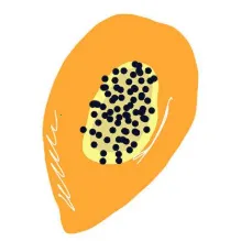 ���μ���Ϸ��2026�ٷ�����