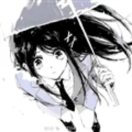 ��������(�����Ż�����)