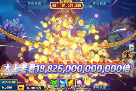 ����󿧿�(������������)