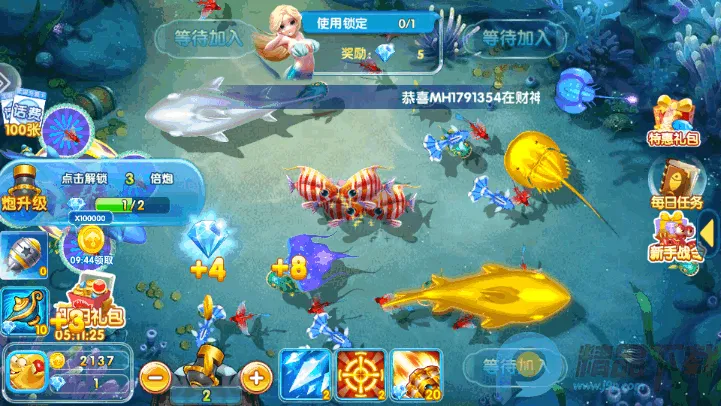 ���������2026���°汾