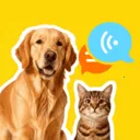 �ȳ�è����ѷ��밲׿���ֻ���v1.0.2 ��׿��