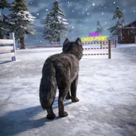 ��ģ���� 3D2026�ٷ�����v1.0.6 �ٷ�����