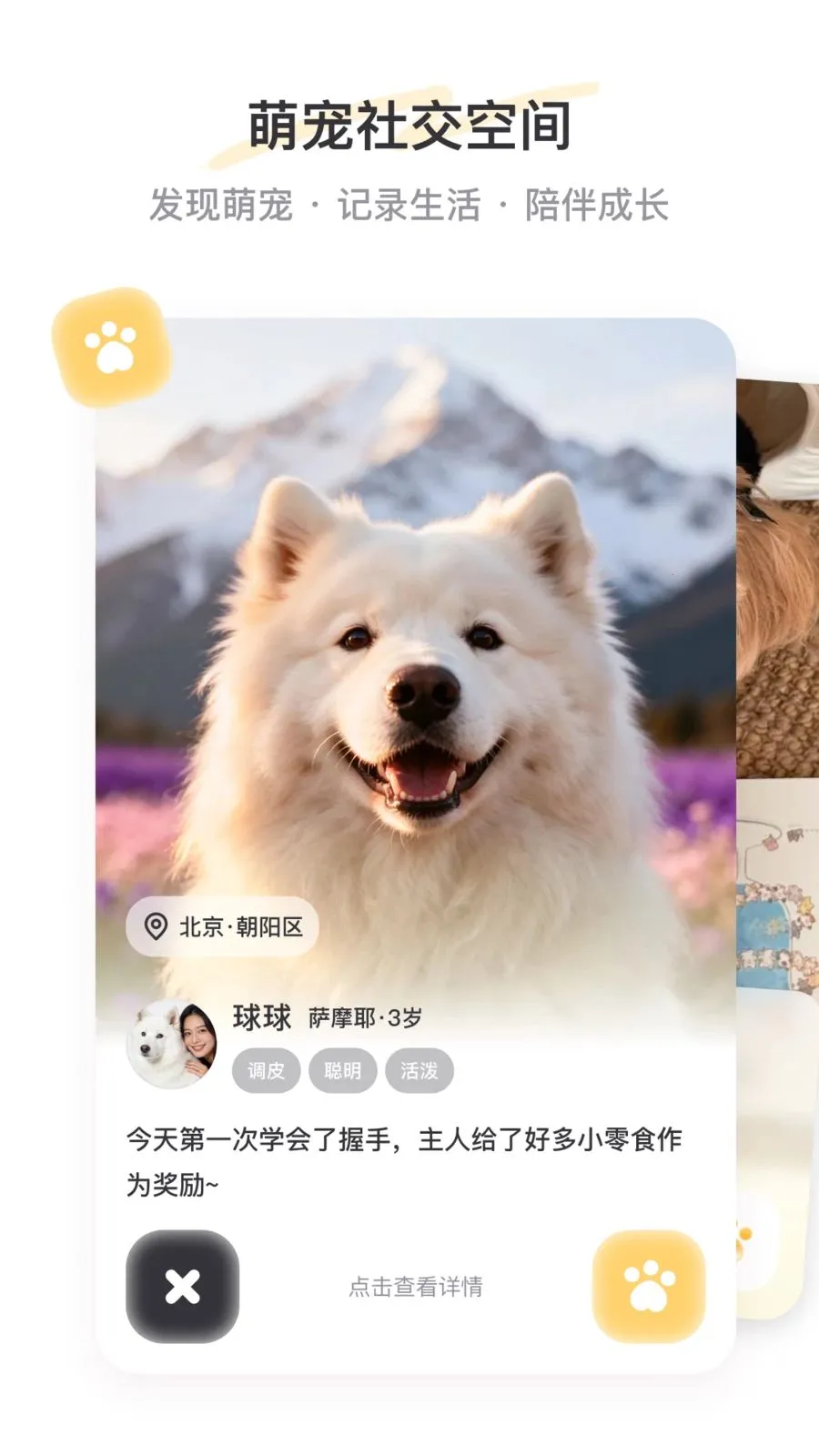PetSpace(萌宠社交平台)v1.0 安卓版截图0
