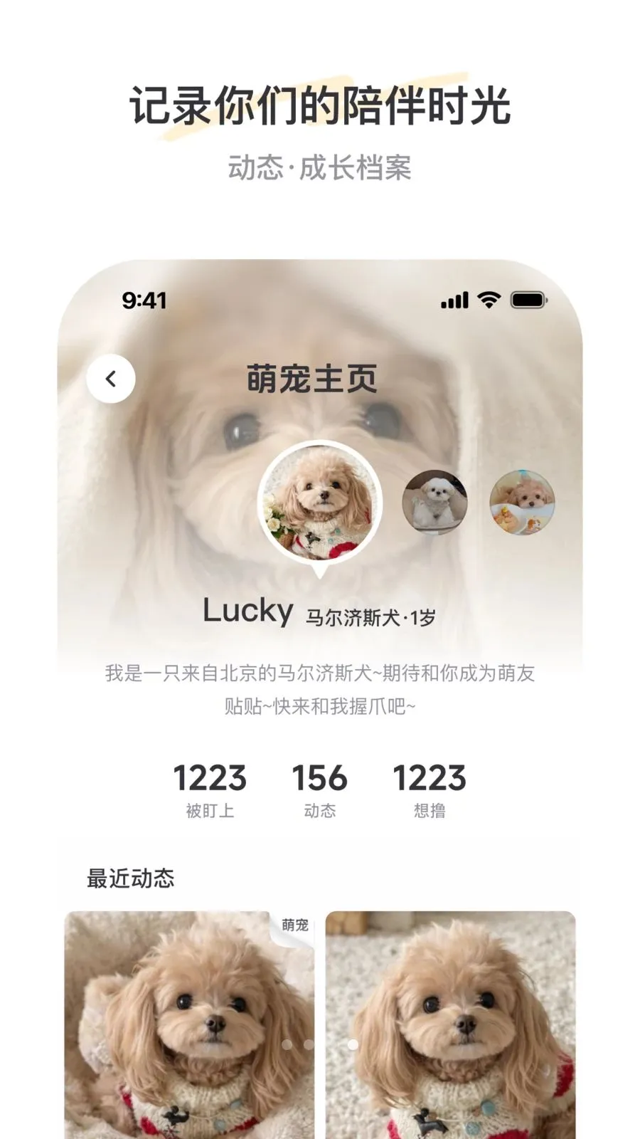 PetSpace(萌宠社交平台)v1.0 安卓版截图3