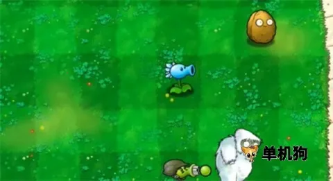 ֲ���ս��ʬBT��չ��(ֲ���ս��ʬ�İ�)