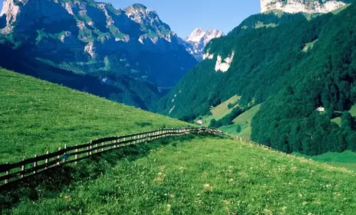 ʱ��ص����(ˮӡ��������)