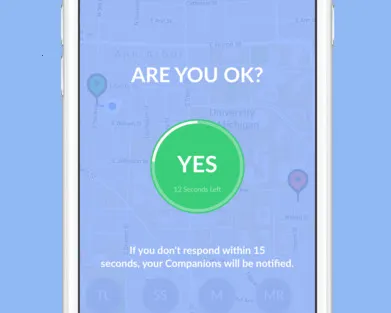 Companion�����ֻ���