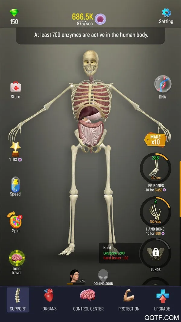 放置人体模型v1.0截图4