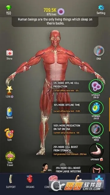 放置人体模型v1.0截图2