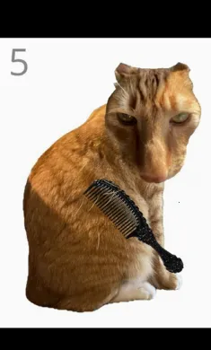 ��è��ëv1.0��ͼ0
