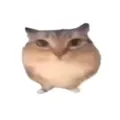 �ͰͲ�һ����