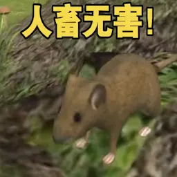 ������ʵģ�������ֻ���v1.0.0 ��׿��