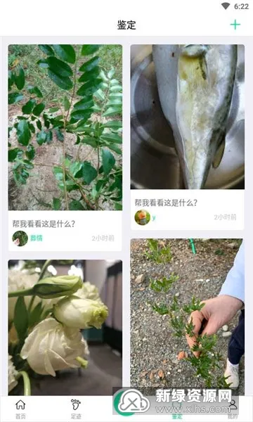 �࿴ʵ��