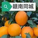 ����ͬ��(ͬ���������)