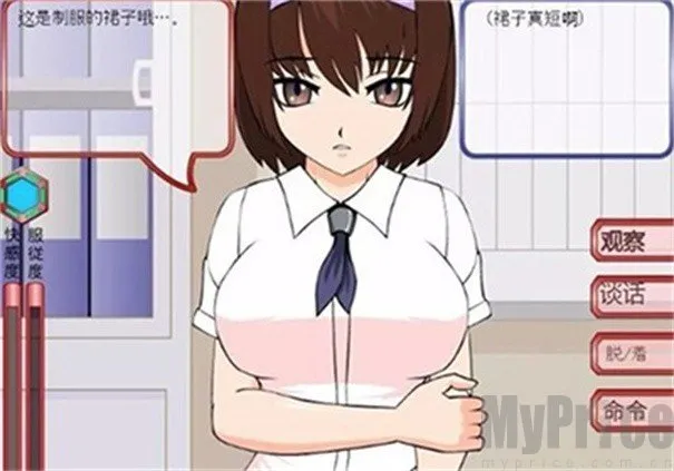 ͵����Ů�Ľ�������(͵����Ϊ������Ϸ)