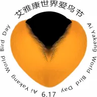 ��������2026���°汾