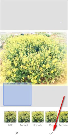 BetterSeed(ͼƬ��ͼ����)