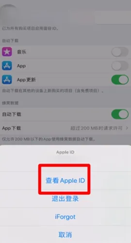 ƻ��Ӧ���̵�AppStore�����ֻ���
