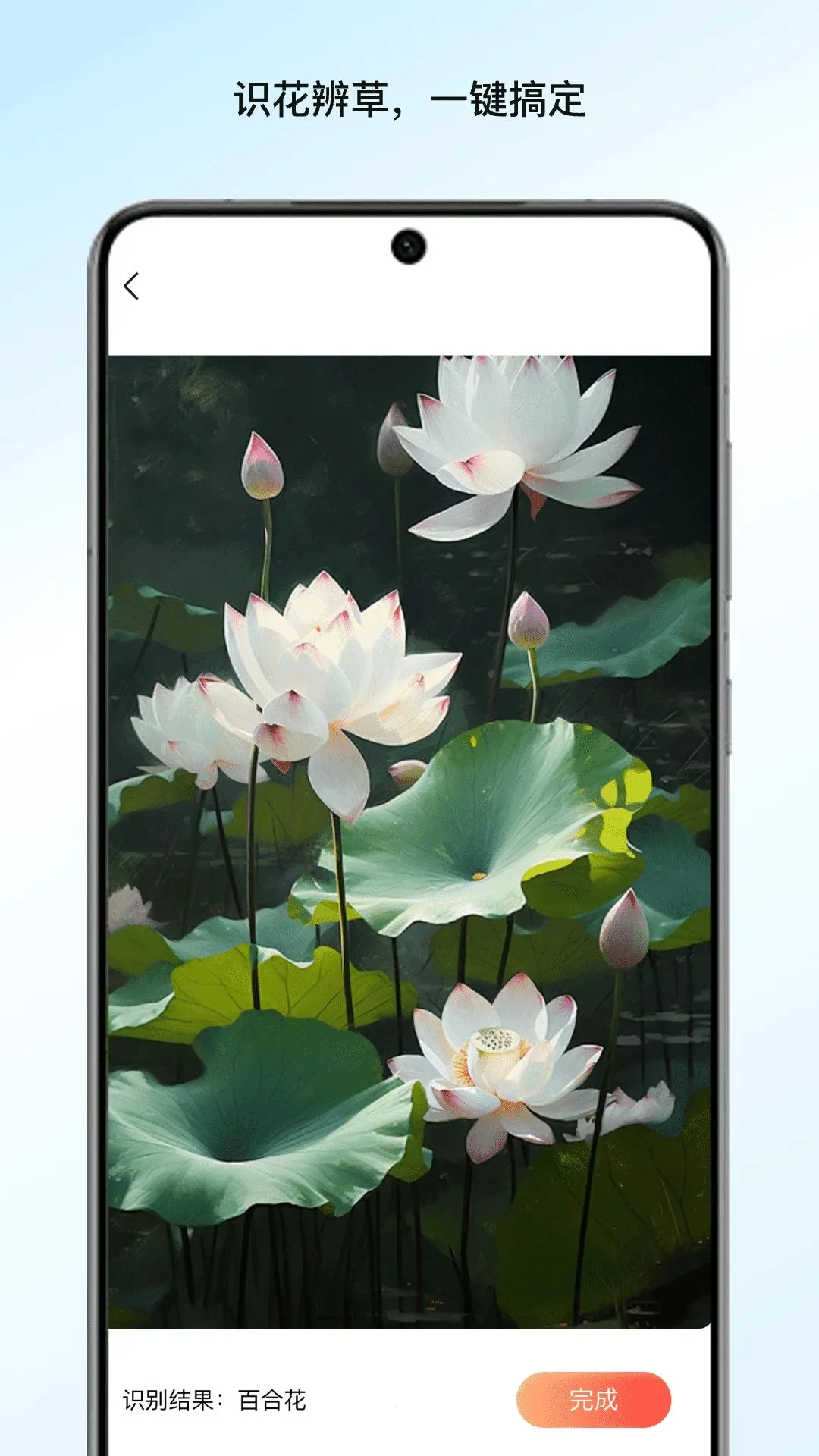 溪渡管家通(多功能实用工具)v1.0.1 官方版截图3