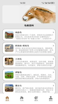 嘿马陶陶2026官方最新版本 嘿马陶陶2026官方最新版本