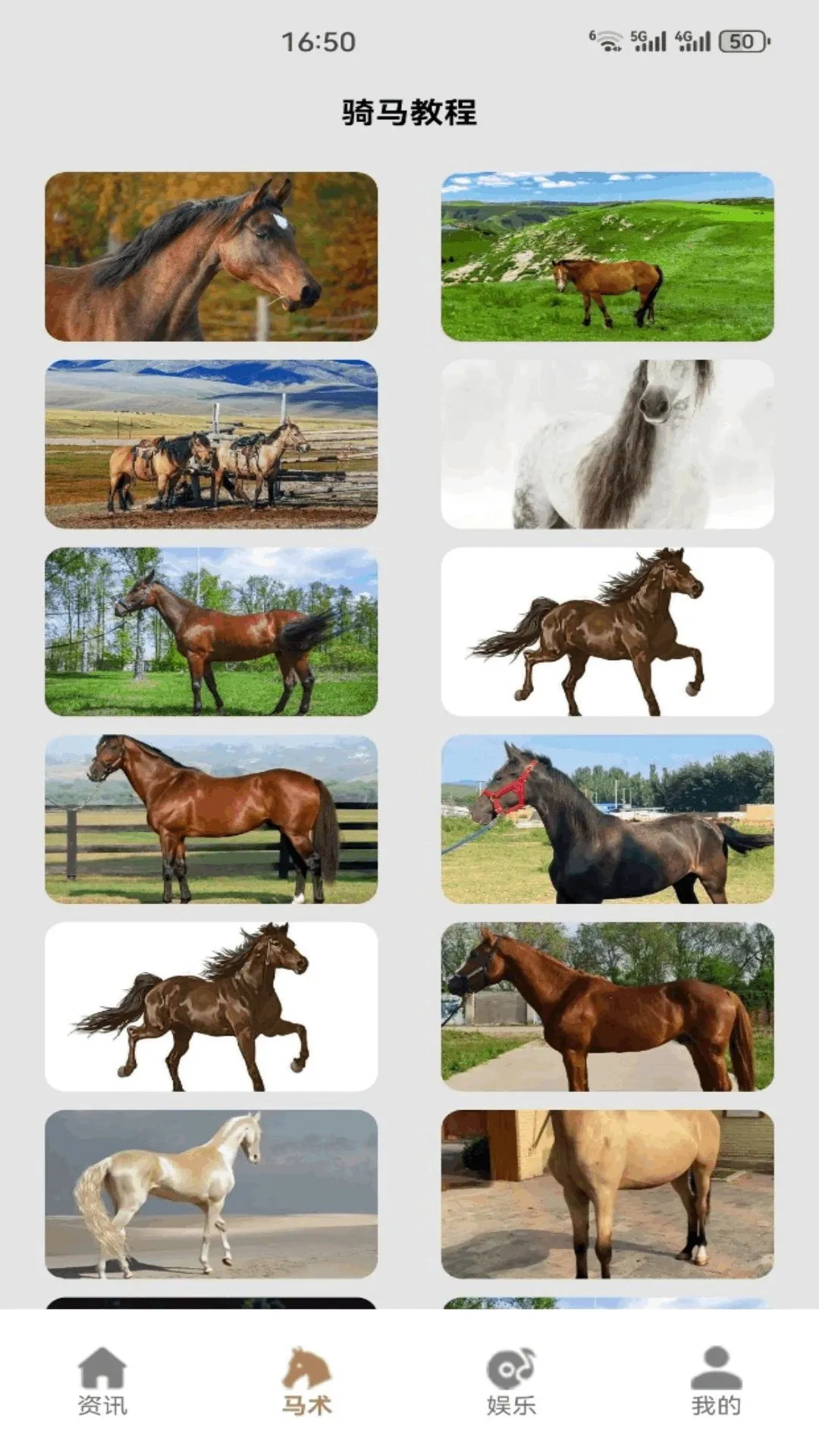 嘿马陶陶2026官方最新版本v1.2 安卓版截图0