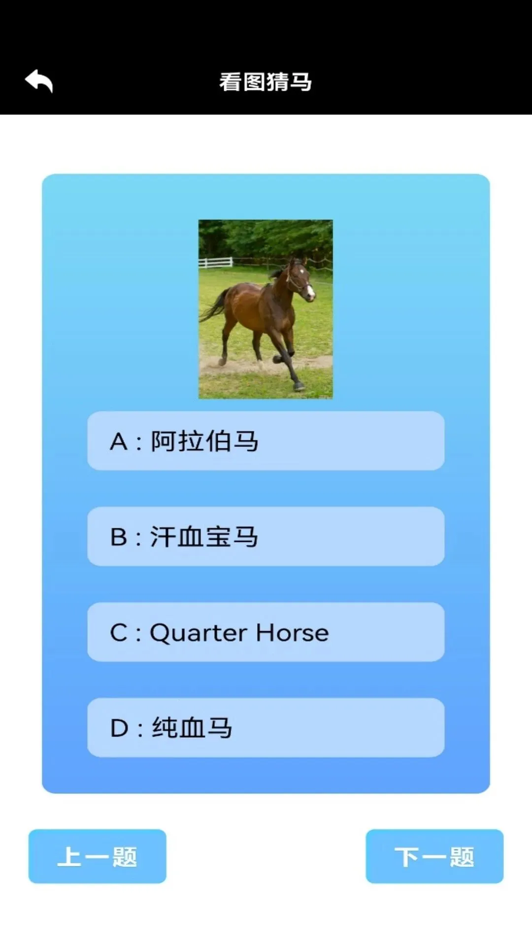 嘿马陶陶2026官方最新版本v1.2 安卓版截图1