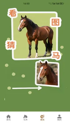 嘿马陶陶2026官方最新版本v1.2 安卓版截图3